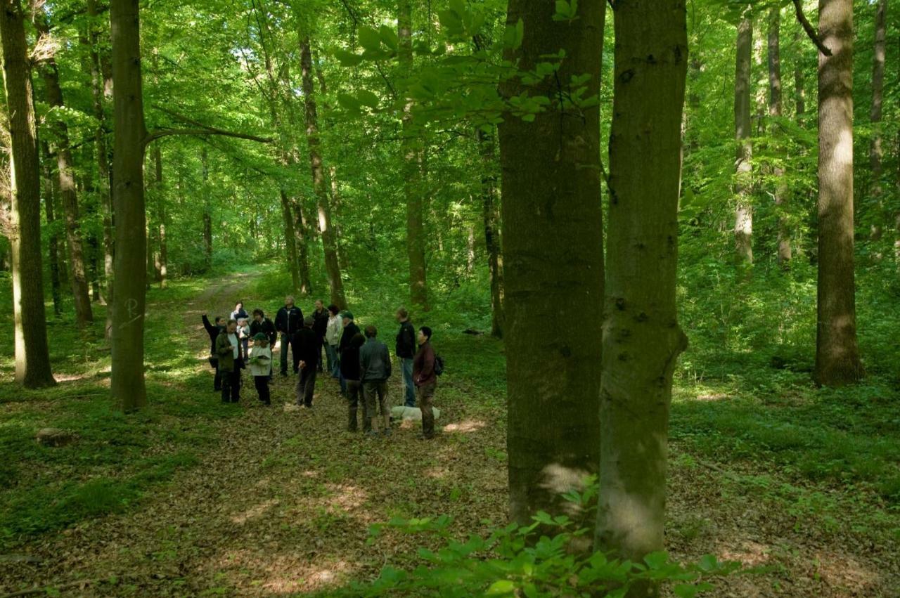 Gutshaus Von Bismarck Daire An der Schmucke Dış mekan fotoğraf