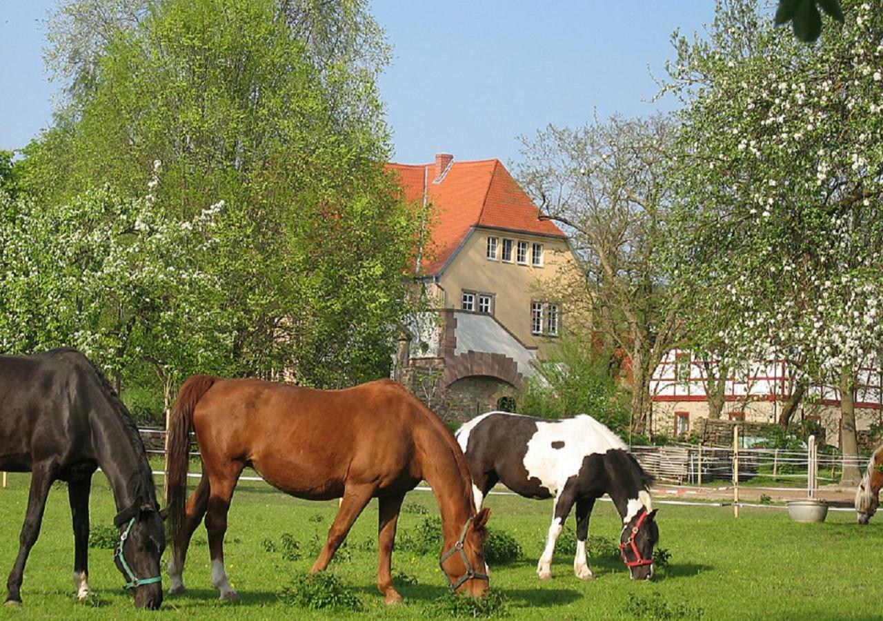 Gutshaus Von Bismarck Daire An der Schmucke Dış mekan fotoğraf
